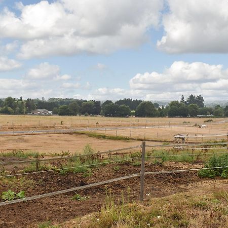 Вилла South Wing Coldharbour Park Farm Rake Экстерьер фото