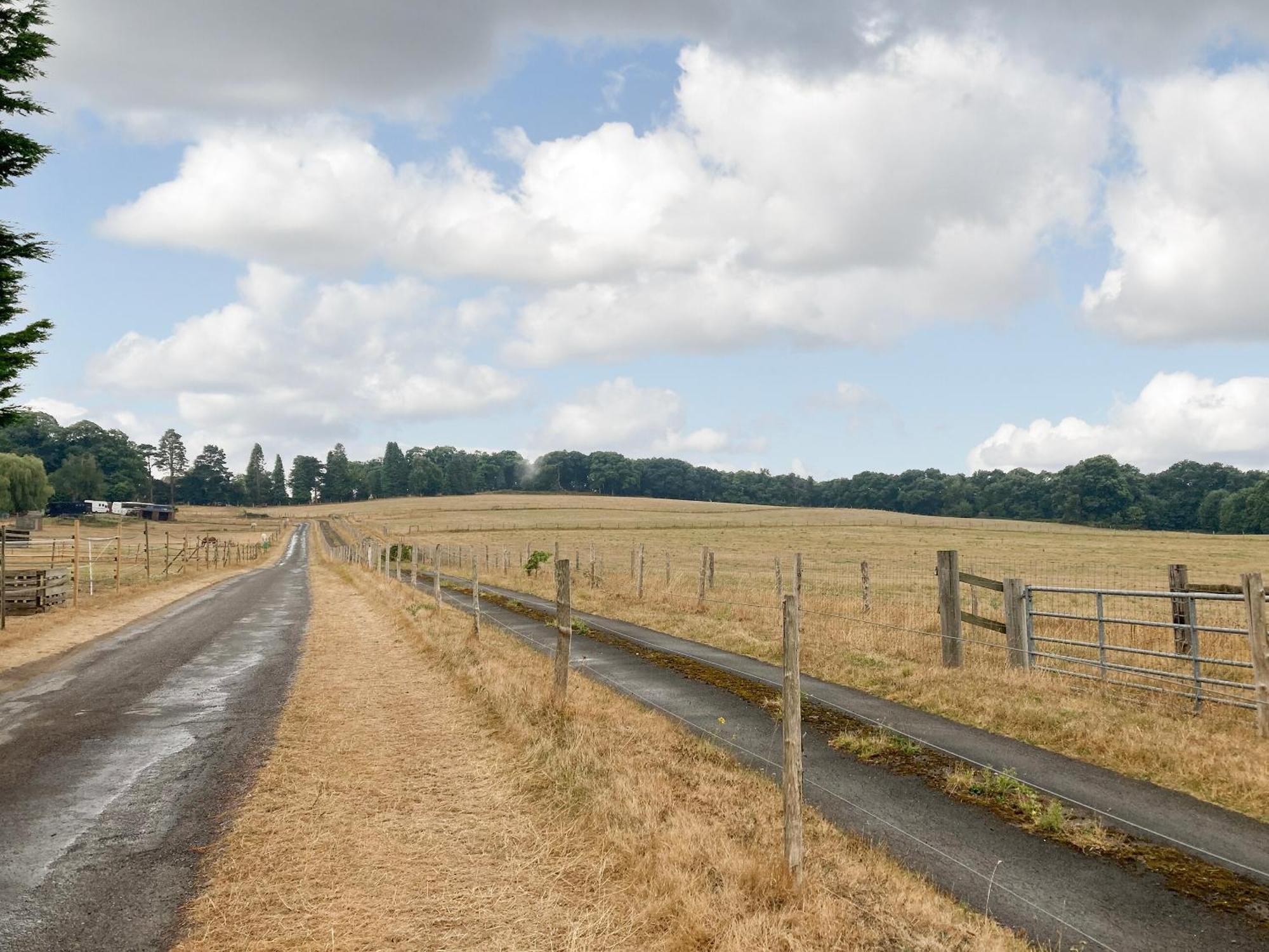 Вилла South Wing Coldharbour Park Farm Rake Экстерьер фото