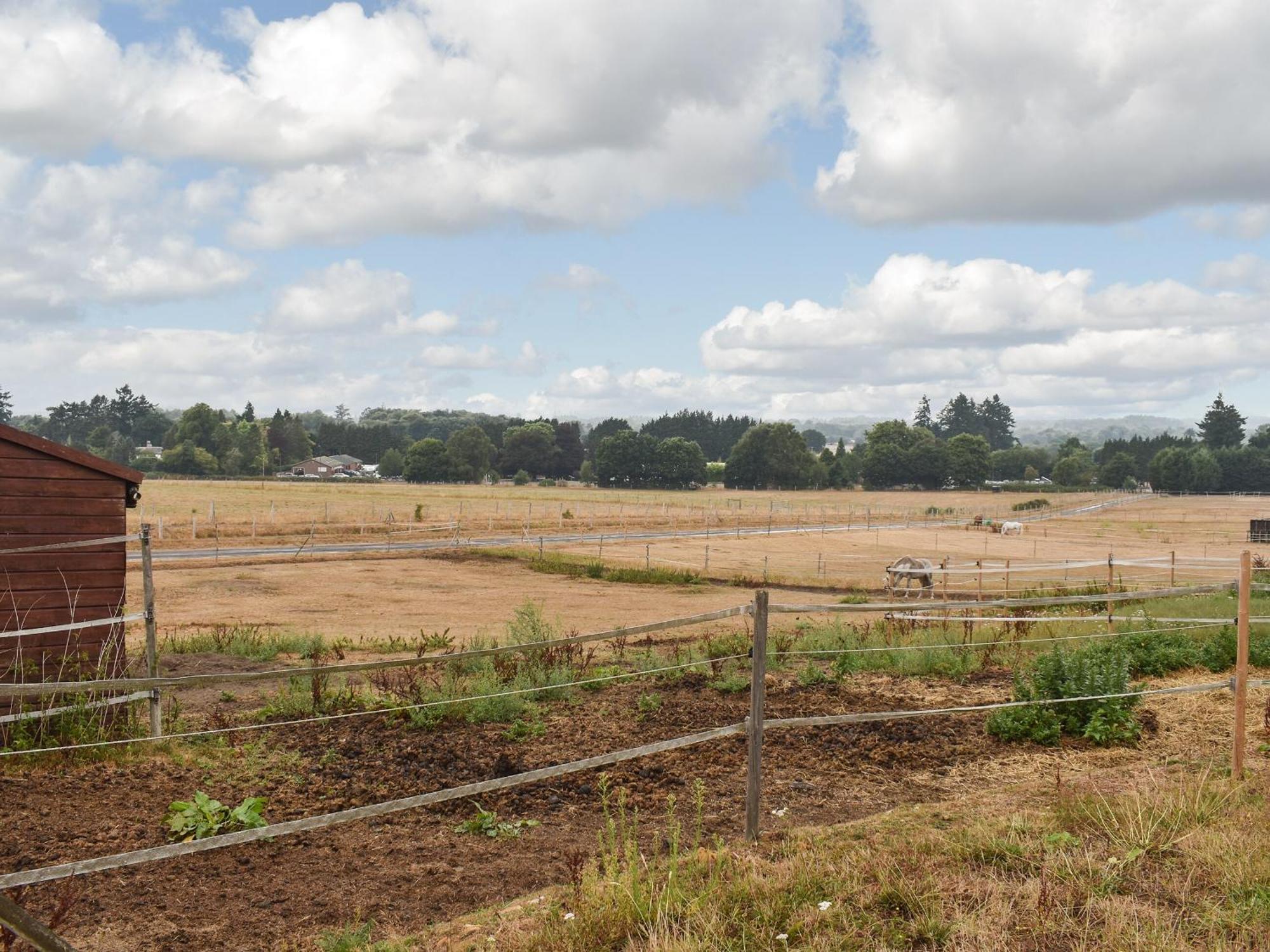 Вилла South Wing Coldharbour Park Farm Rake Экстерьер фото